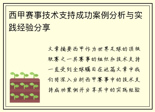 西甲赛事技术支持成功案例分析与实践经验分享