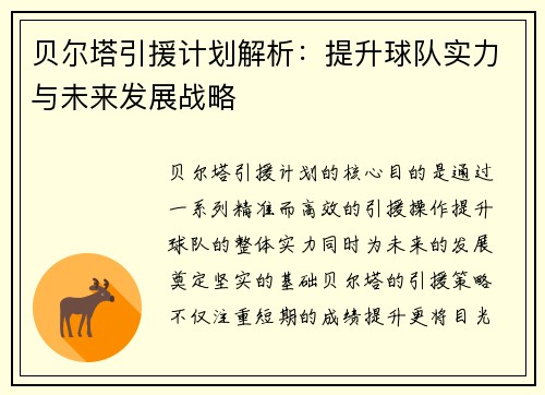 贝尔塔引援计划解析：提升球队实力与未来发展战略